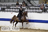 10r13_1709 thumbnail