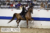 10r13_1710 thumbnail