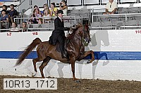 10r13_1712 thumbnail
