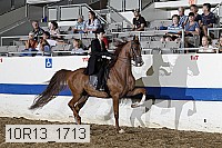 10r13_1713 thumbnail