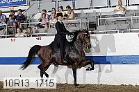 10r13_1715 thumbnail