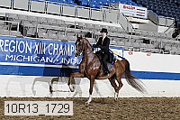 10r13_1729 thumbnail