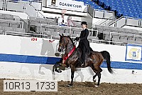 10r13_1733 thumbnail
