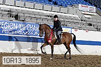 10r13_1895 thumbnail