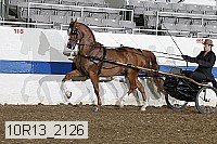 10r13_2126 thumbnail