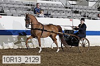 10r13_2129 thumbnail