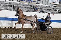 10r13_2134 thumbnail