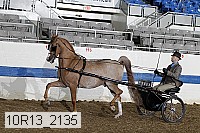 10r13_2135 thumbnail