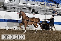 10r13_2139 thumbnail