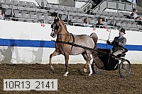 10r13_2141 thumbnail