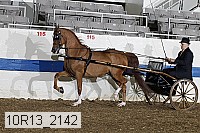 10r13_2142 thumbnail