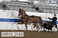 10r13_2143 thumbnail