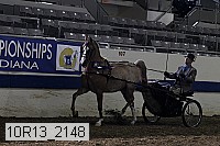 10r13_2148 thumbnail