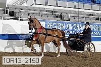 10r13_2150 thumbnail