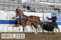 10r13_2153 thumbnail