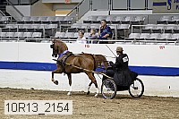 10r13_2154 thumbnail