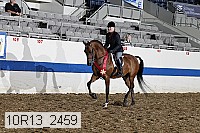 10r13_2459 thumbnail