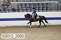 10r13_2550 thumbnail