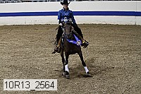 10r13_2564 thumbnail