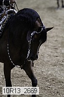 10r13_2669 thumbnail