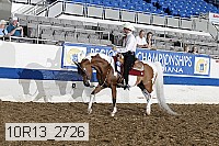 10r13_2726 thumbnail