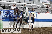10r13_2876 thumbnail