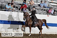 10r13_2899 thumbnail