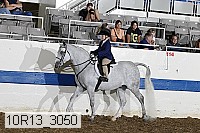 10r13_3050 thumbnail