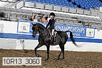 10r13_3060 thumbnail