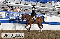 10r13_3065 thumbnail