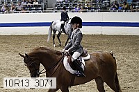 10r13_3071 thumbnail