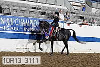 10r13_3111 thumbnail