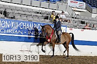 10r13_3190 thumbnail