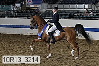 10r13_3214 thumbnail