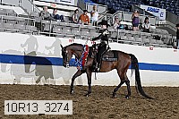 10r13_3274 thumbnail