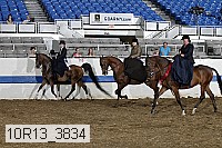 10r13_3834 thumbnail