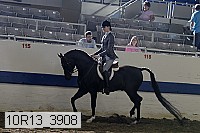 10r13_3908 thumbnail