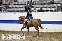 10r13_4427 thumbnail