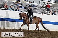 10r13_4428 thumbnail