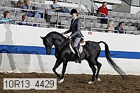 10r13_4429 thumbnail