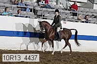 10r13_4437 thumbnail