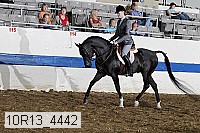 10r13_4442 thumbnail