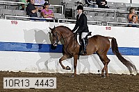10r13_4443 thumbnail