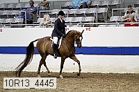 10r13_4445 thumbnail