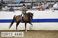 10r13_4446 thumbnail