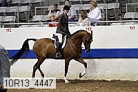 10r13_4447 thumbnail
