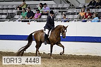 10r13_4448 thumbnail