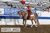 10r13_4502 thumbnail