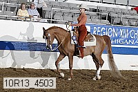 10r13_4503 thumbnail