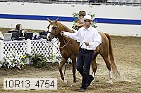 10r13_4754 thumbnail